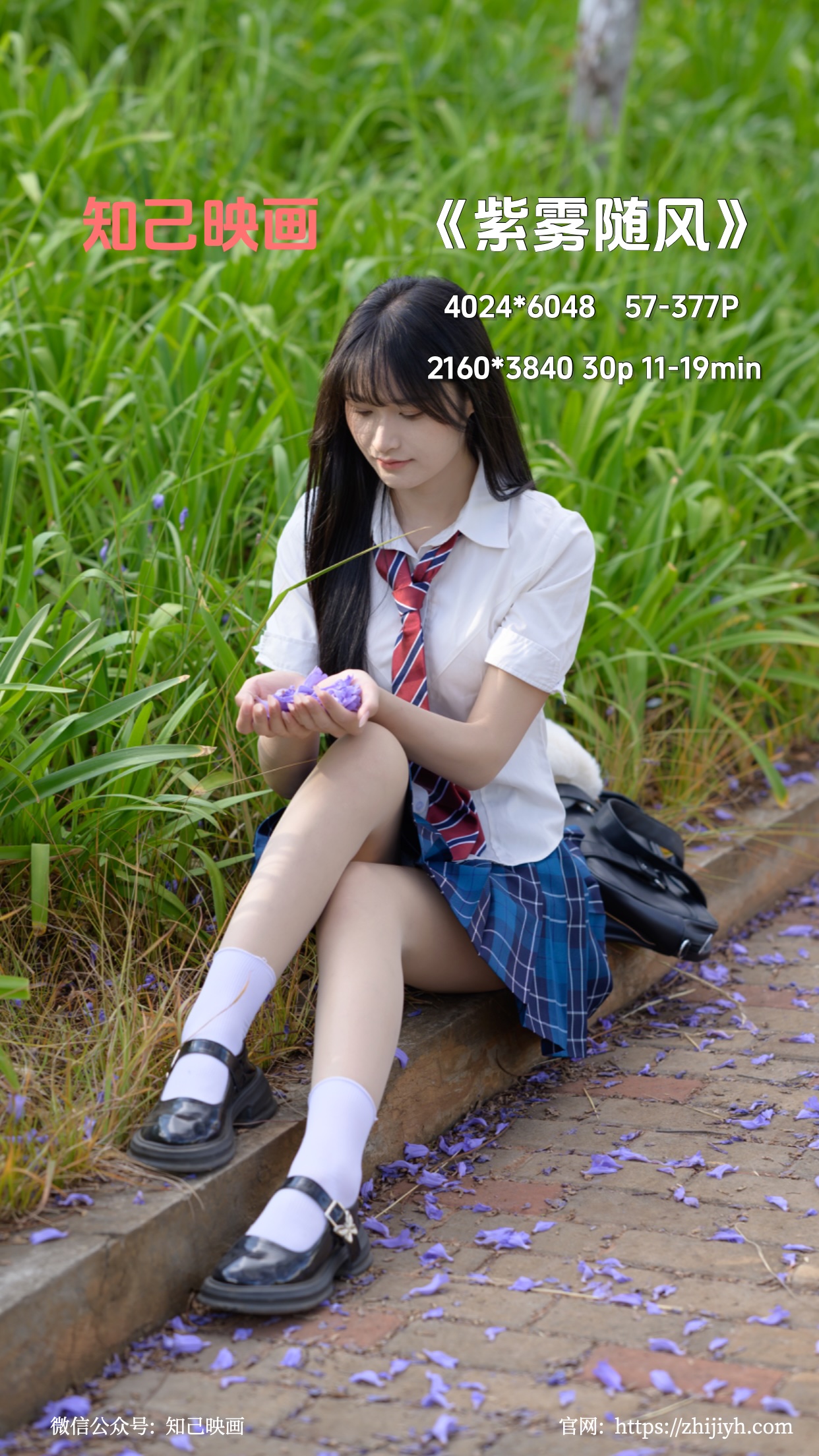 紫雾随风